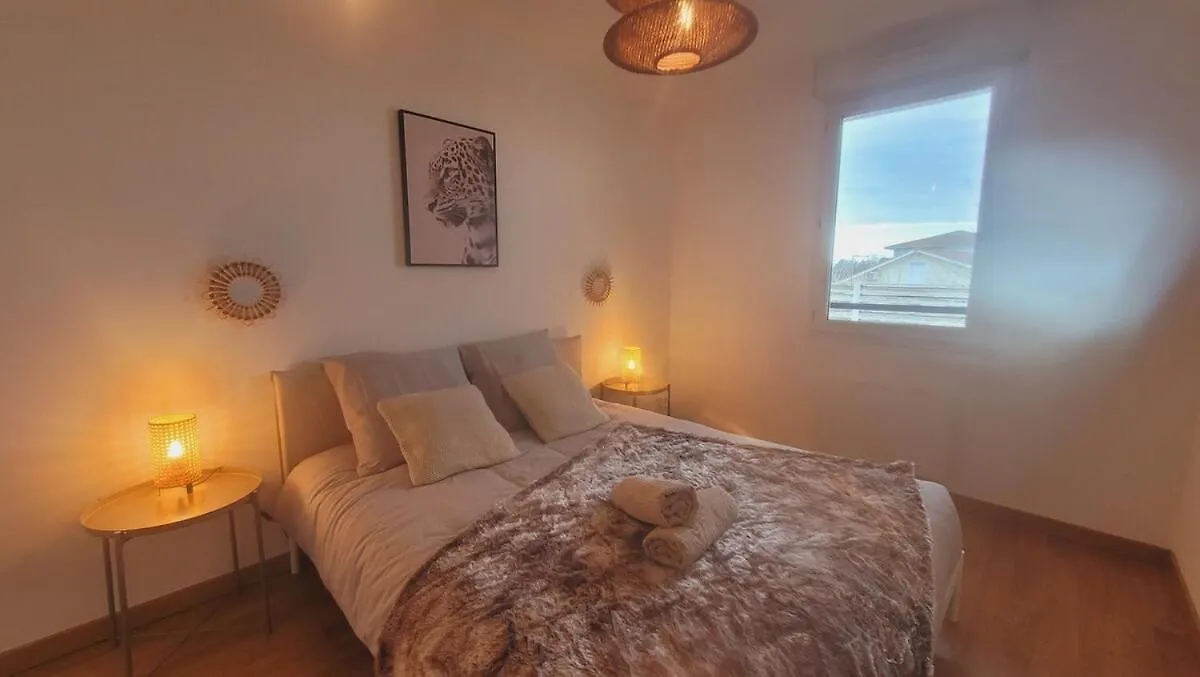 Charming T2 In Frouzins Apartment