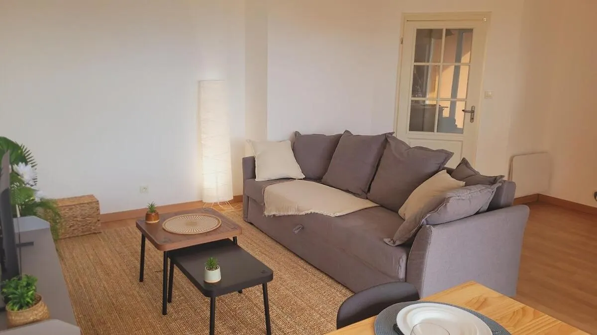 Charming T2 In Frouzins Apartment